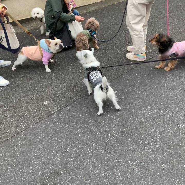 1c0c0250 3920 4c0b ab58 3bb188132eda 1679904462277