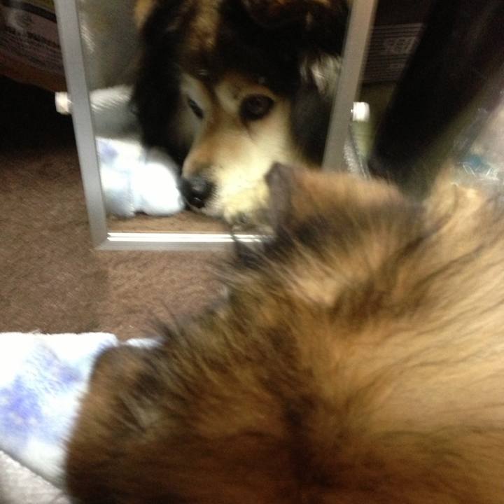 1c0c117e 80bf 4880 b9bd cd4f211c2fd6 1621812760442