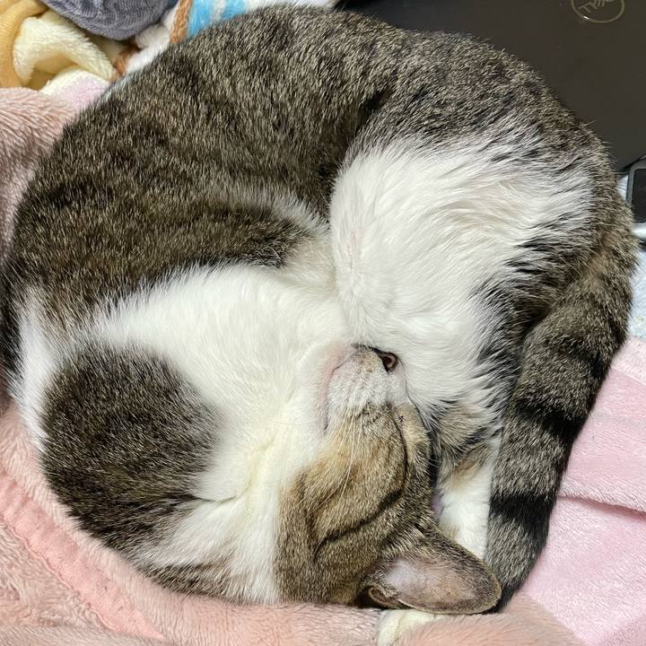 1c0c1ffb d030 46a2 87b6 9d5631d7141f 1635122083998