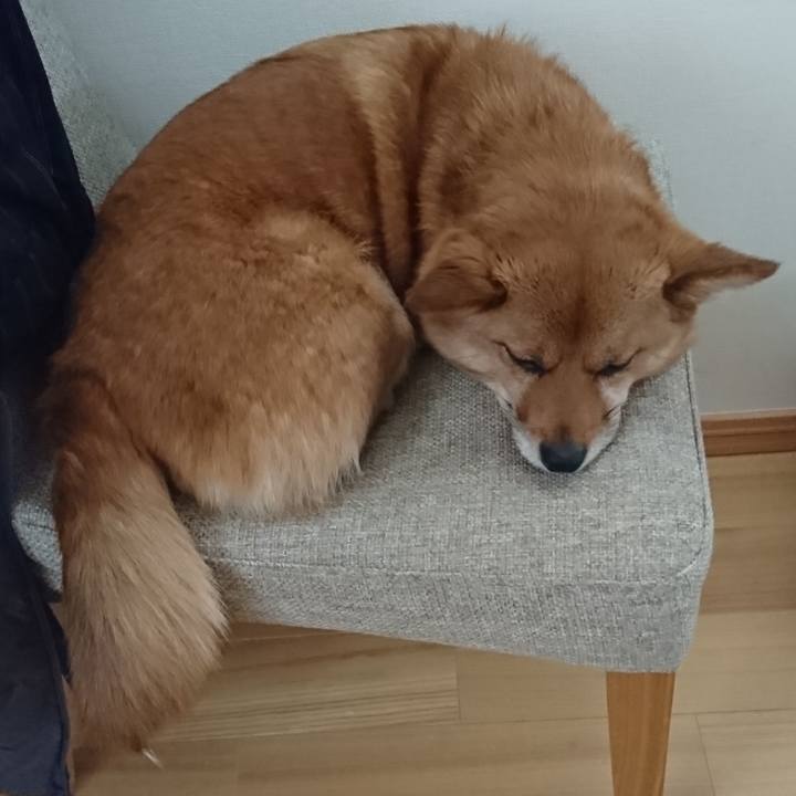 1c0c26be 7454 4a40 b367 47f63a4180eb 1553570575244