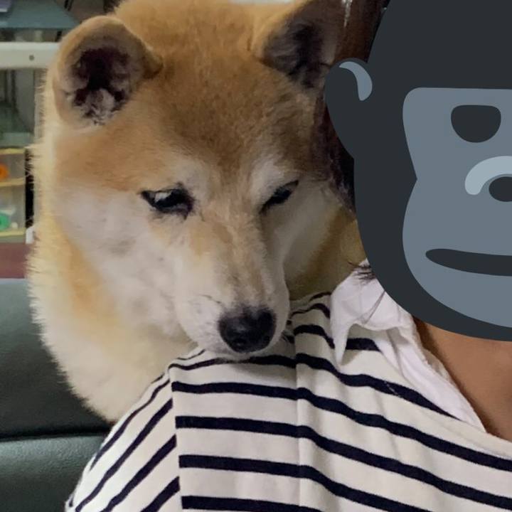 1c0c3e05 441a 4fa6 9e2d ab2b4753c020 1601719447216