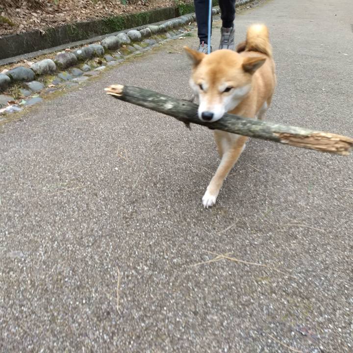 1c0c62b9 ce10 4792 aa0d f2ba034659de 1519129281947