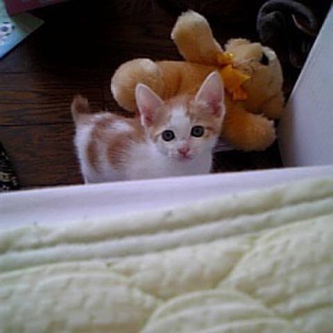 1c0c69cf 2b86 47e4 8f3b 826bfe672938 1680028376344