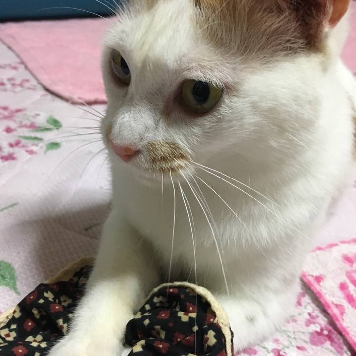 1c0c8068 4ecc 4318 8d63 46297b2e1281 1565951260526