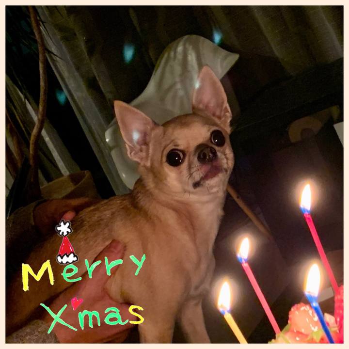 1c0d2d32 f6ff 4bbb b631 44bc84b4616a 1577142681329