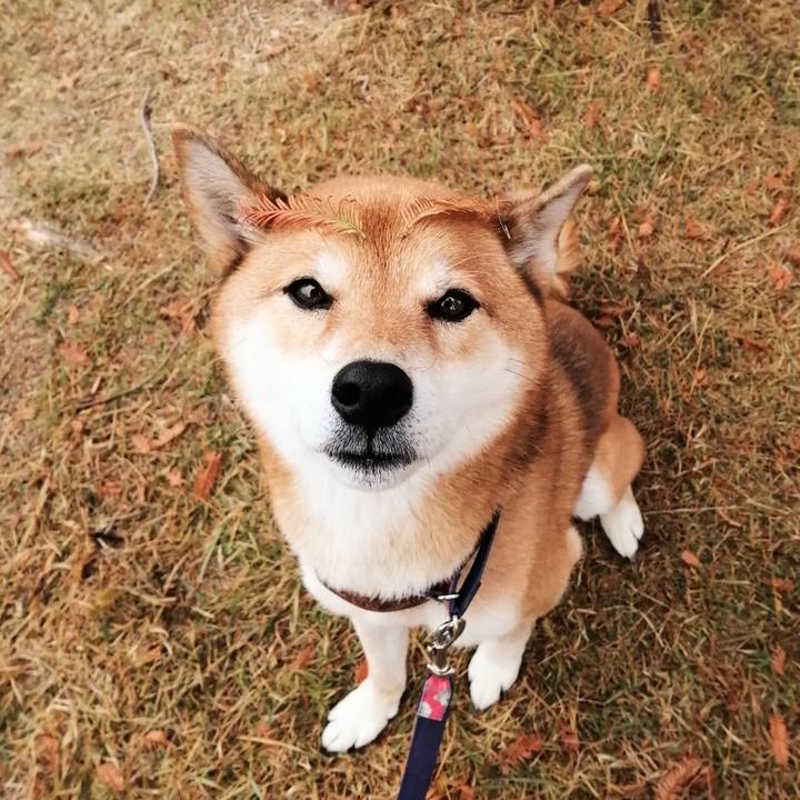 1c0d3dc8 3d70 4448 9c05 5d4a09575d8b 1606351067936