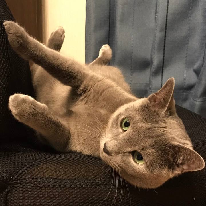 1c0d54ad 6252 4200 9576 126e870c9918 1612563735550