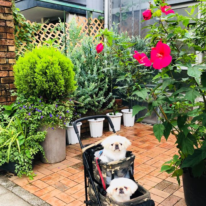 1c0d65fe e0d6 44af 980a efe870a47c32 1595884957621