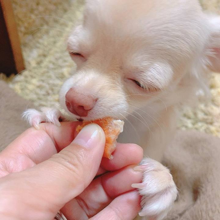 1c0d6603 31fe 4374 9c96 08bde57cbc85 1596244633865