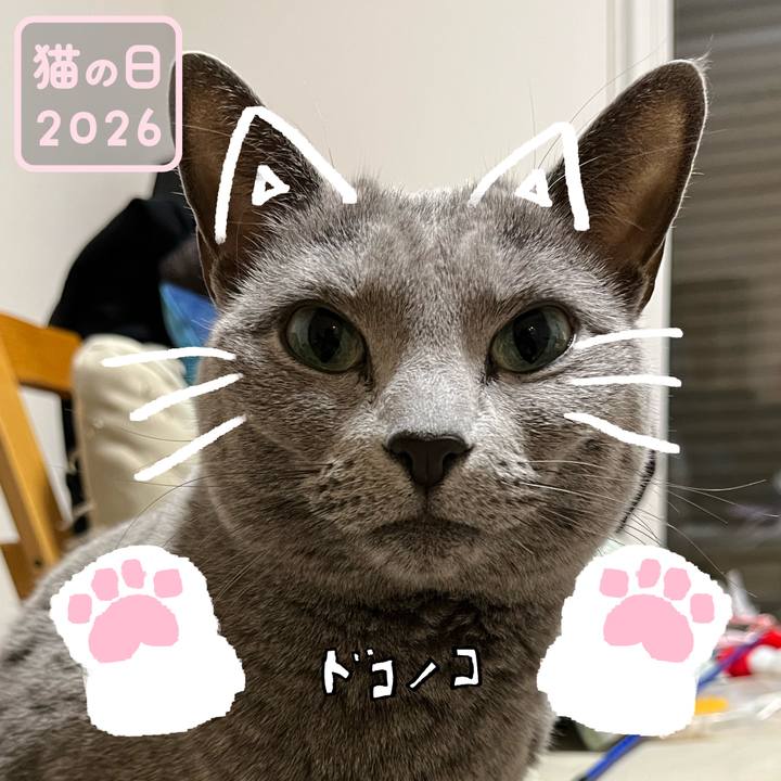 1c0dafeb 1bc9 49c5 b832 e6d2b29d7d7c 1771751982382