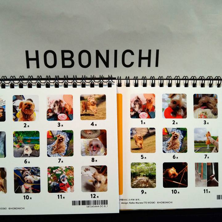 1c0dc43e 874d 4546 8b80 c174766b4cd1 1605773326891