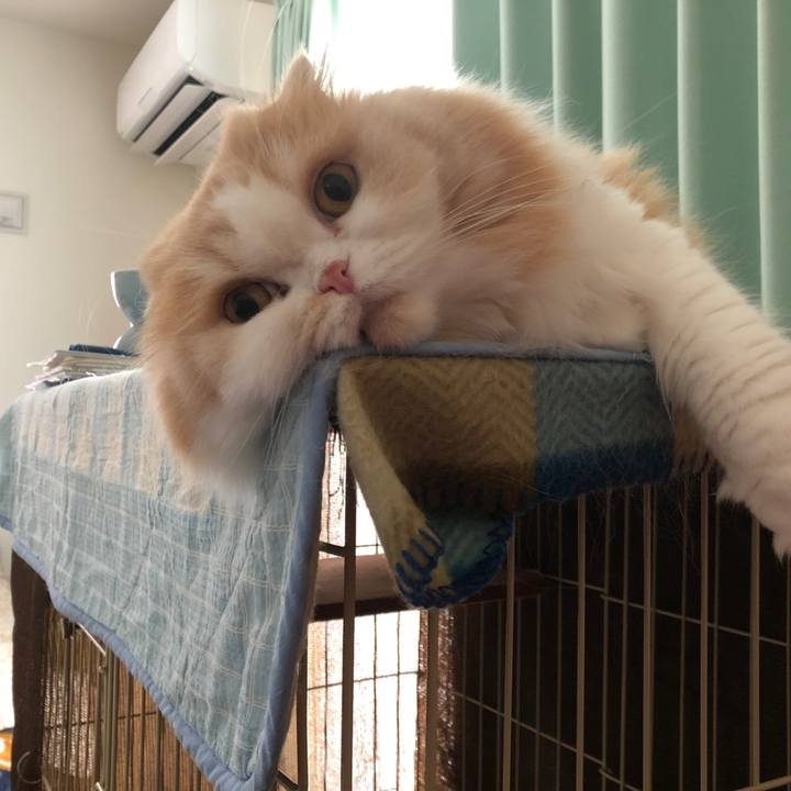 1c0dcc7d 3213 459b 93ed 9fab14c21244 1598306735773