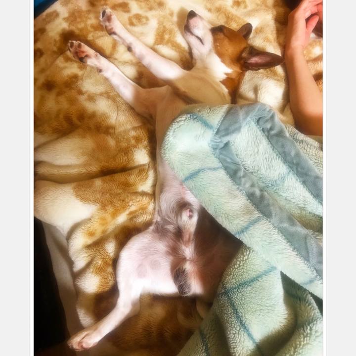 1c0e41a6 7b9f 407a 819f 59130c82b530 1530279865388