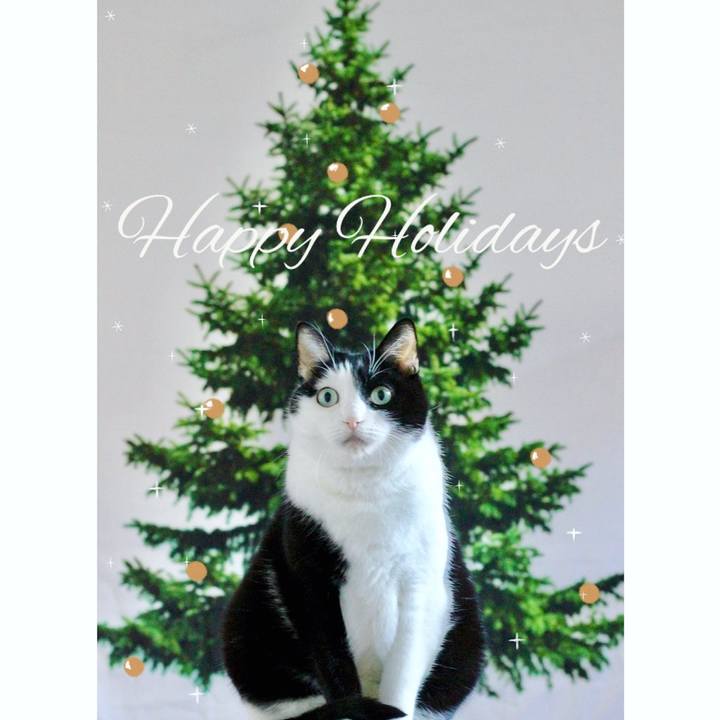 1c0e9cc4 acdf 4303 be39 59e7097c0139 1671927687852