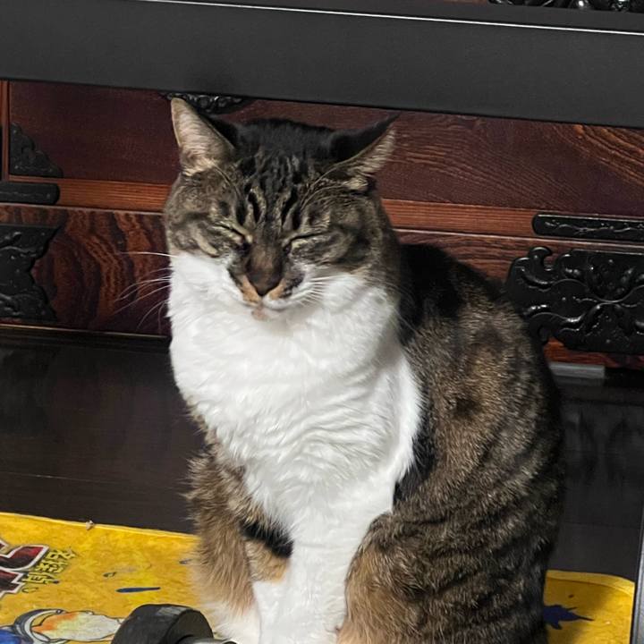 1c0ef0c8 9064 4aa8 acaa c8d8d1157467 1769426919228