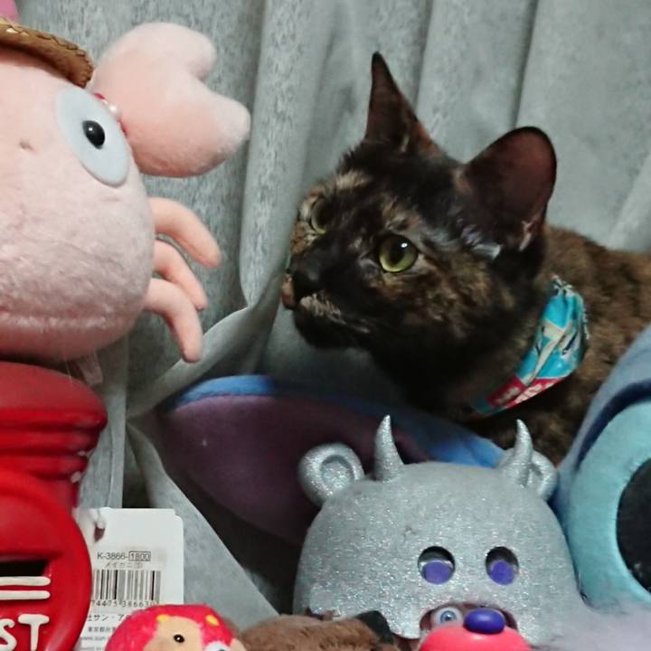 1c0f3713 4bb9 424a b107 746504646767 1603357192754