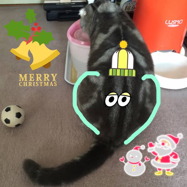 1c0f3cb0 8869 4b91 a219 b3dd7603f777 1607916441169