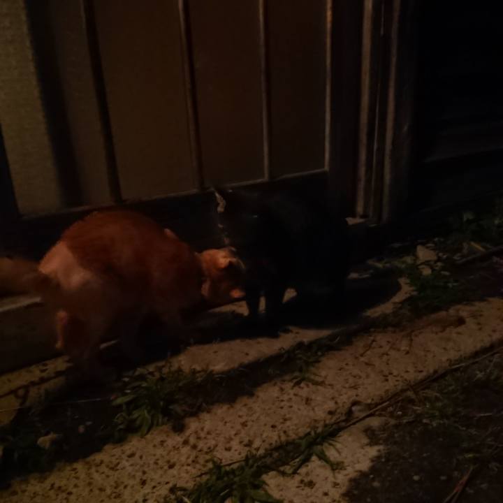 1c0f4dd0 3fa3 4c86 9f69 c385b3d75e29 1654688406271