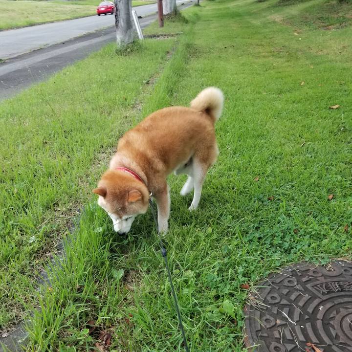 1c0f5610 86b6 4217 98dc 486d4646dbc7 1722929221492