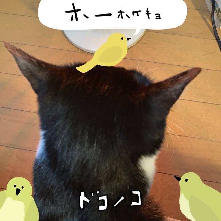 1c0f972d 7a1d 4b54 8a70 8ed69529c56d 1711028518467