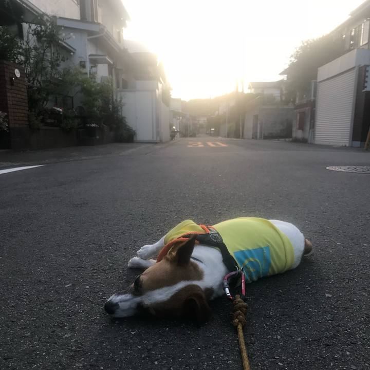 1c0faab8 de86 416f 9bc9 49a282037189 1752068275941