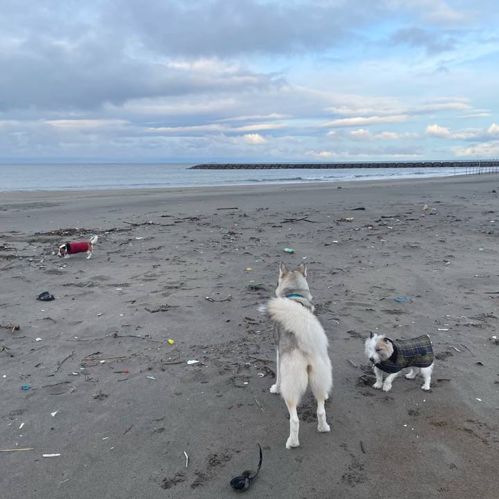 1c0fc310 2186 4c62 b725 21db373dad22 1705883573794