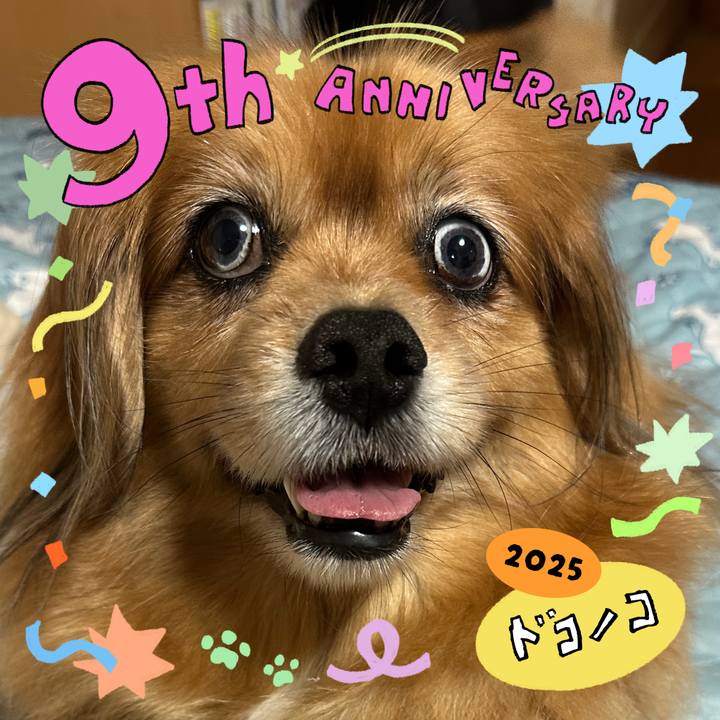 1c0ff904 ad31 4f76 9f2b 199f2b688fba 1749675718175