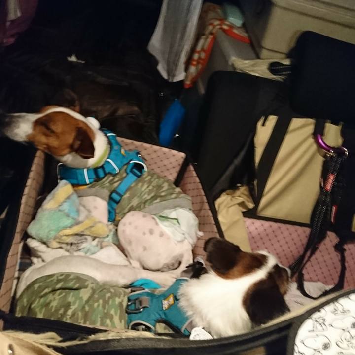 1c1005e9 b363 4714 a0ac b8c4d9e41601 1569156651040