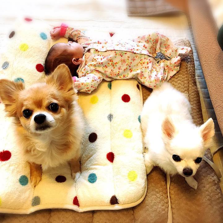 1c100b74 b379 41ab a61b 82342ecbc916 1510809713999