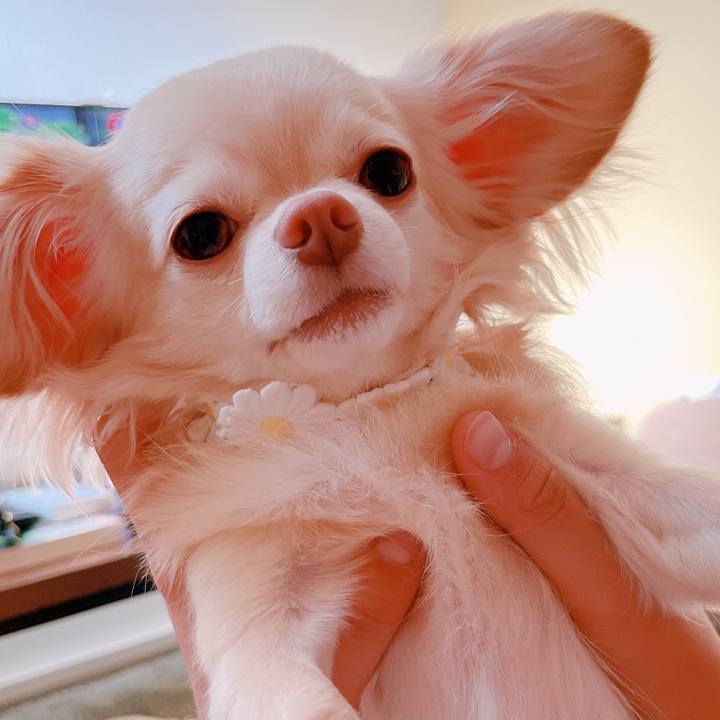 1c101591 9f48 4ed2 bf58 6c53938d89f1 1656541653035