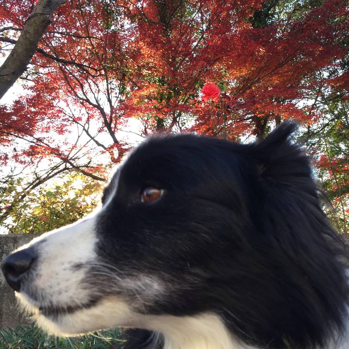 1c1017c1 3213 4d77 aeec 8c535c143308 1574724780169