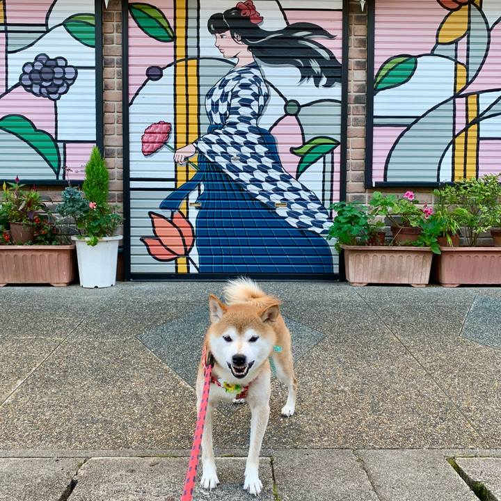 1c10360b b554 4c19 9606 fc7444769e38 1630320578254