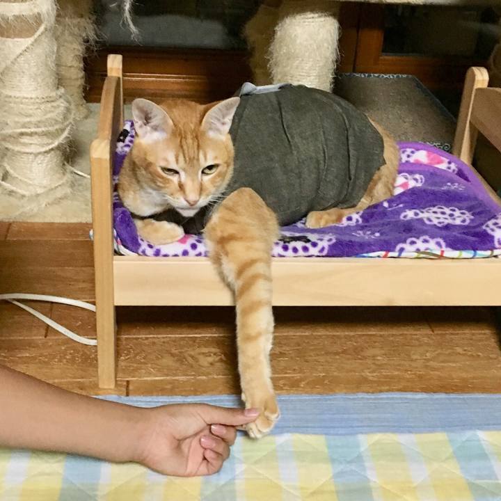 1c105696 c6f0 46ba 87a8 01c30594c815 1530449479794