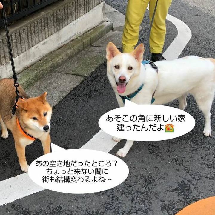 1c11343c a2ea 4794 bd33 b459820ecf82 1594512682635