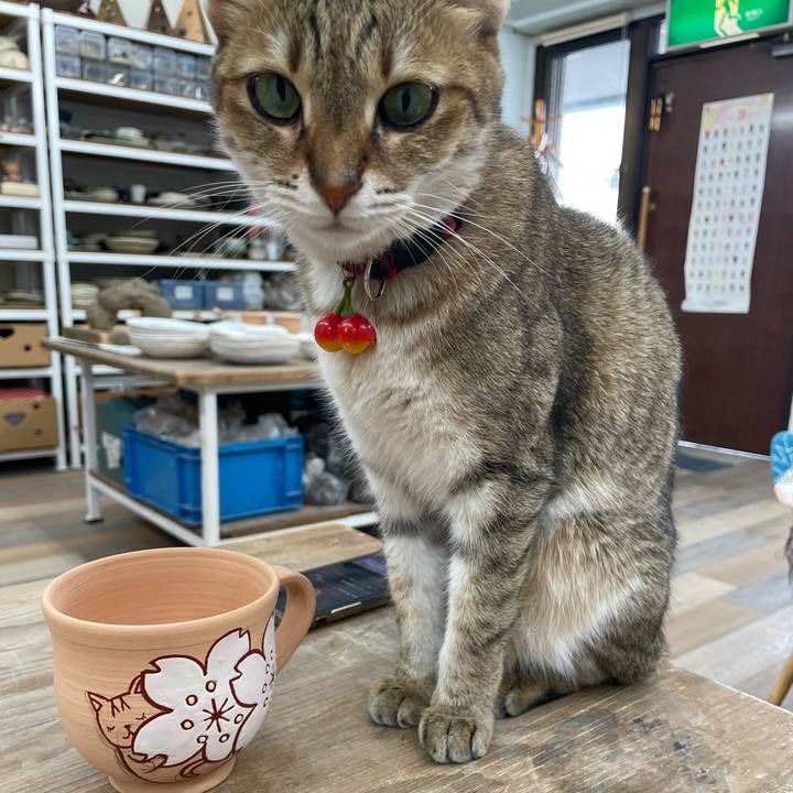 1c113894 2d2c 4cbb b23f 7016e27b9009 1721296223362