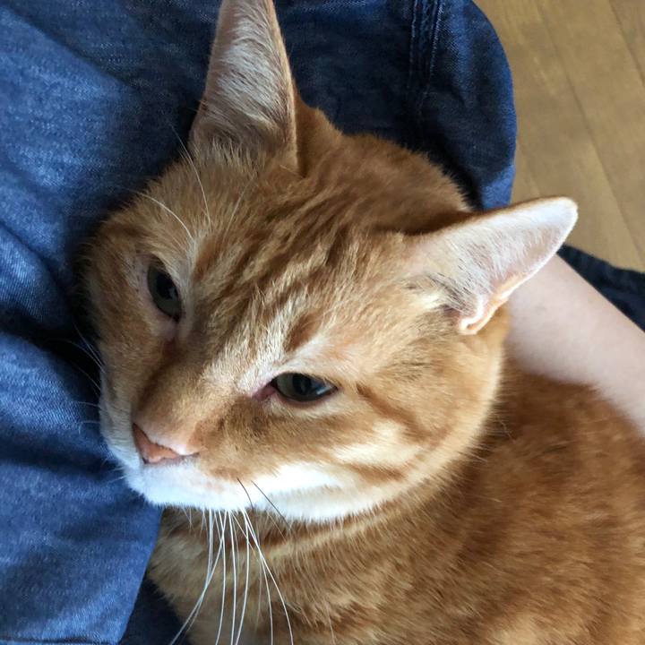 1c113b2e 70e8 42da bafd 62164dbbdab7 1654418837427