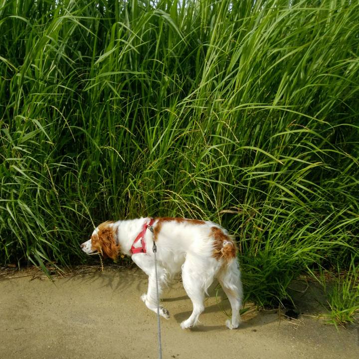 1c11444b dc6d 4a21 8bf8 9c3dcc630f68 1560470889440