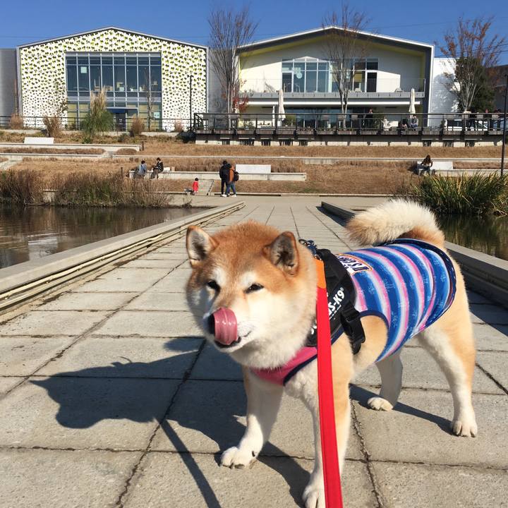 1c117331 1b3c 4309 836f 0ab9400897d0 1576316631342