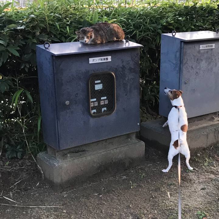 1c1174ac 3f9a 419f 9994 4672e8052d96 1528544275315