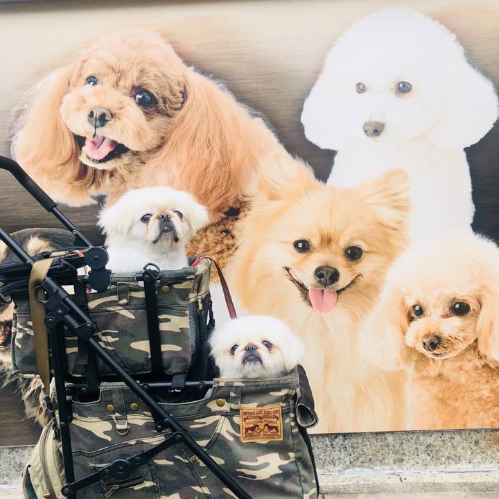 1c117ca3 9386 451c b31d 6ef1a7d83eef 1595194959386