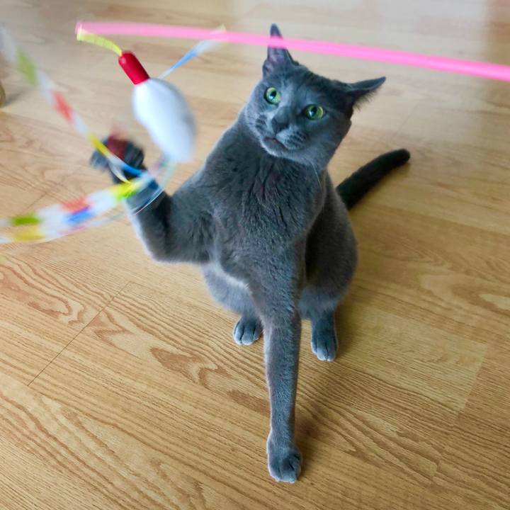 1c1184c9 91cc 4ef2 a5a5 1b15ead798a8 1592555633966