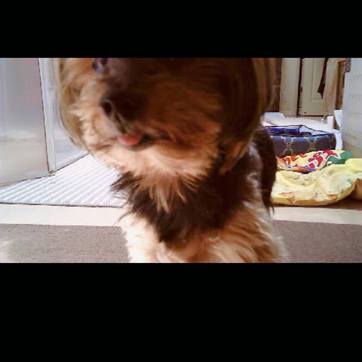 1c119095 e663 4a86 9031 80a96dd697c2 1721349046169