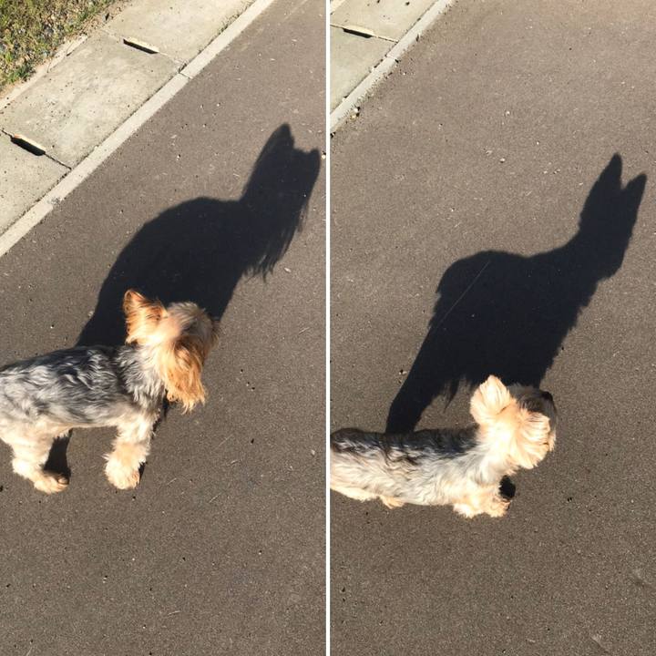 1c11cbdc 7c52 4459 9ff8 65f00c5d8438 1596103368478