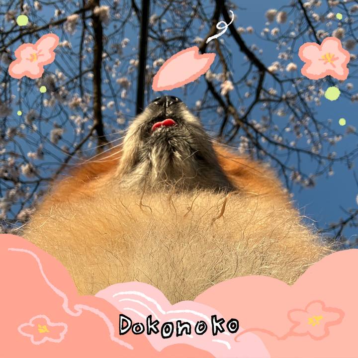 1c11e38f b738 4403 9f71 ca1825338da5 1775428195040