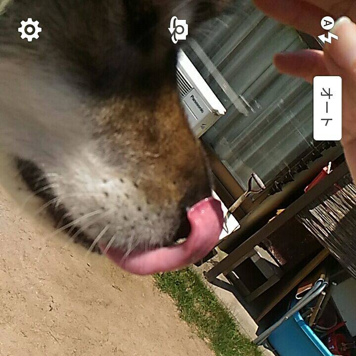 1c120725 b676 4e88 adbb 8dce08da9f82 1563536087947