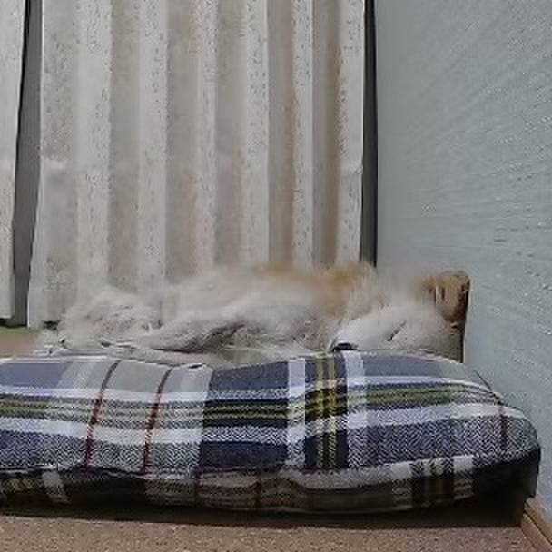 1c121f39 13a7 49c9 9c96 d70104334a26 1647085515324