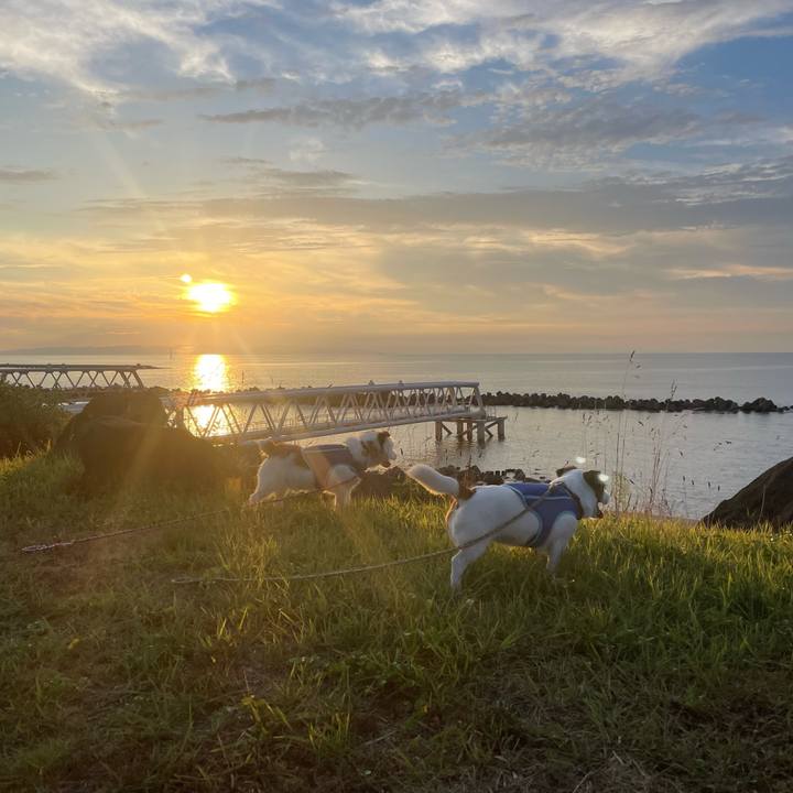 1c1229c9 4a69 4ff6 83b5 0395dc08443c 1724712691868