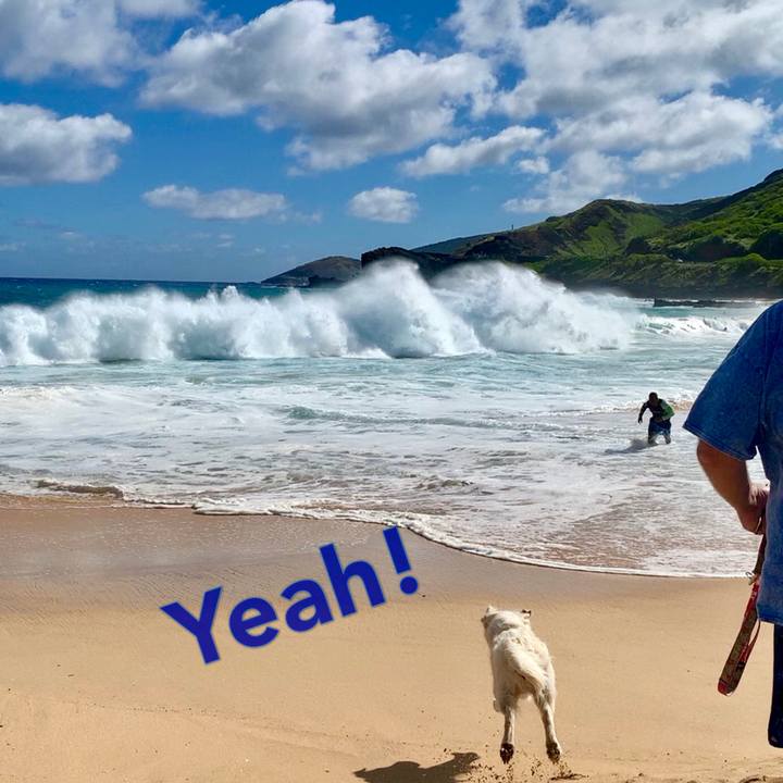 1c1244f4 a51c 4a86 901f 4dfc9cb32b5e 1563406975845