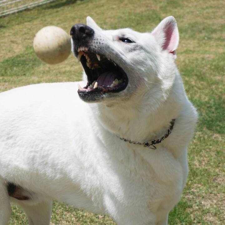 1c1245de 4ba3 4642 bf14 e959bb2fd9f3 1564750240479