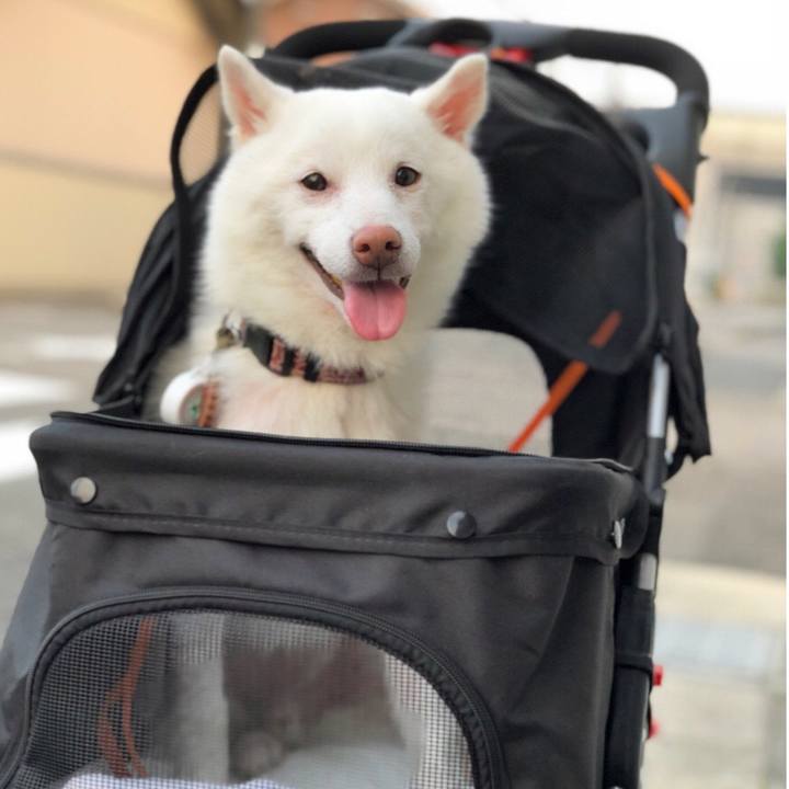 1c12475f 9a39 413f 9ccd 51c8a2e48e8f 1531838063646